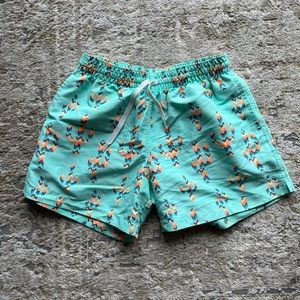 Chubbies swimming trunks